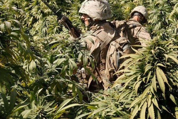 Кракен зеркало рабочее на сегодня