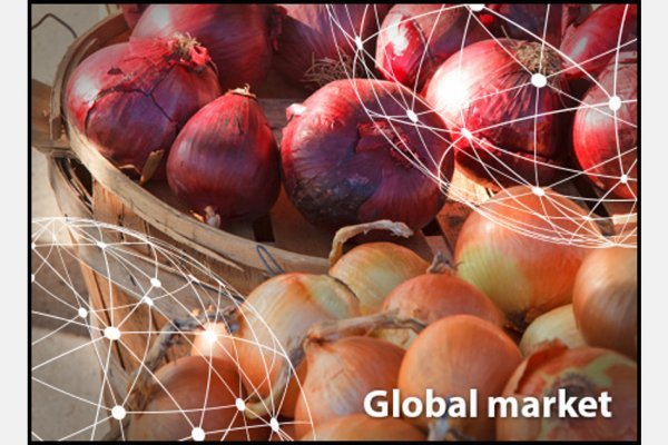 Кракен тор ссылка онион